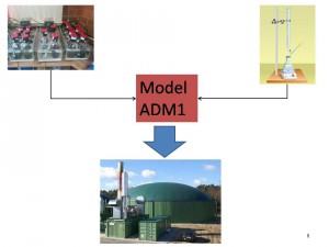 Modeling of anaerobic digestion with ADM1