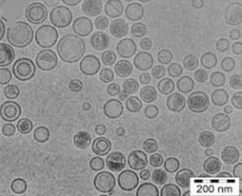 A Cryo-TEM micrograph of WP744-loaded liposome