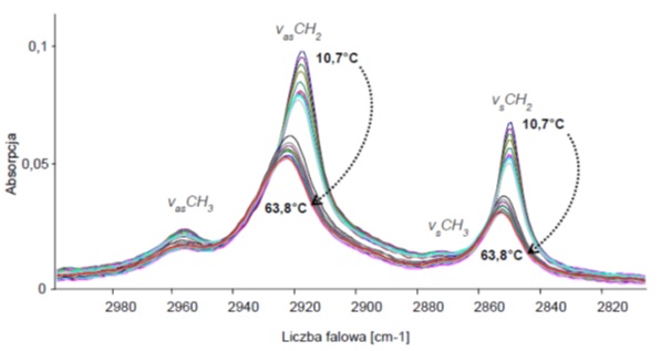 Widma absorpcyjne liposomów DPPC:AR(15:0) w zakresie średniej podczerwieni (3000 - 2800 cm-1) mierzone w funkcji wzrastającej temperatury. 