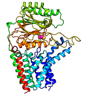 Struktura krystalograficzna N-acylotransferazy lipoproteinowej z E. coli.
